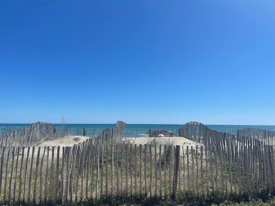 Appart Frontignan Sur La Plage, Piscine, Wifi, Tv, Netflix Kültér fotó