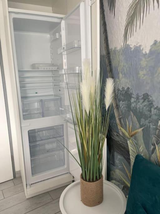 Appart Frontignan Sur La Plage, Piscine, Wifi, Tv, Netflix Kültér fotó