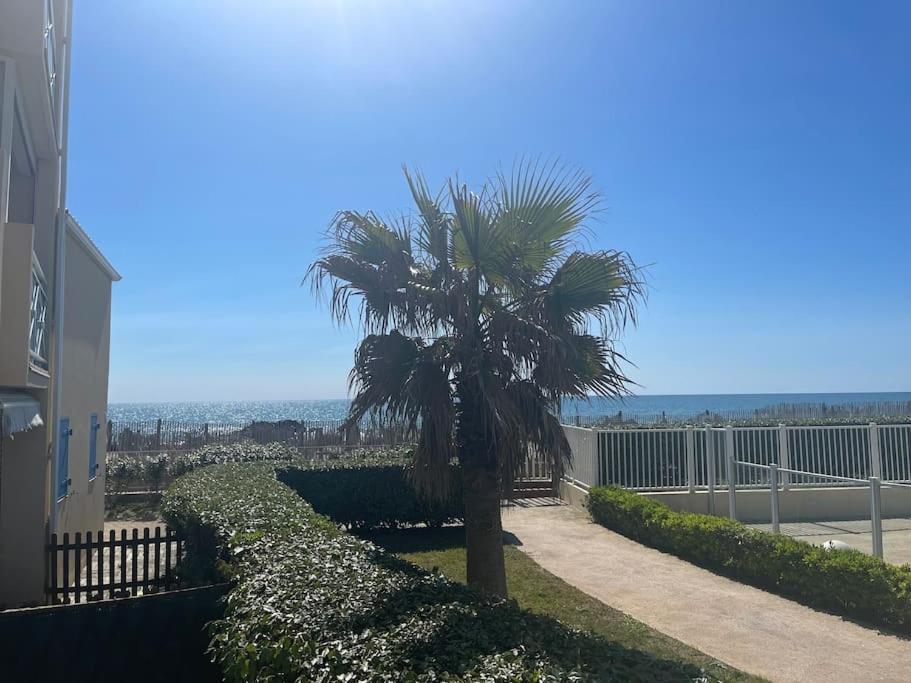 Appart Frontignan Sur La Plage, Piscine, Wifi, Tv, Netflix Kültér fotó